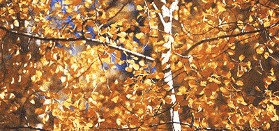 学绘画画水彩秋叶步骤图秋景